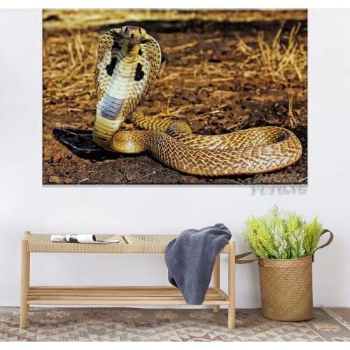 Animals Snake Reptiles Cobra Living Room Decoration Home Wall Art Decor Wood Frame Canvas Posters