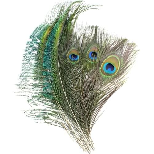 10Pcs Peacock Feathers 10-12inch and 10Pcs Peacocks Sword 12-15inch for DIY natural Feathers For crafts home wedding decoration