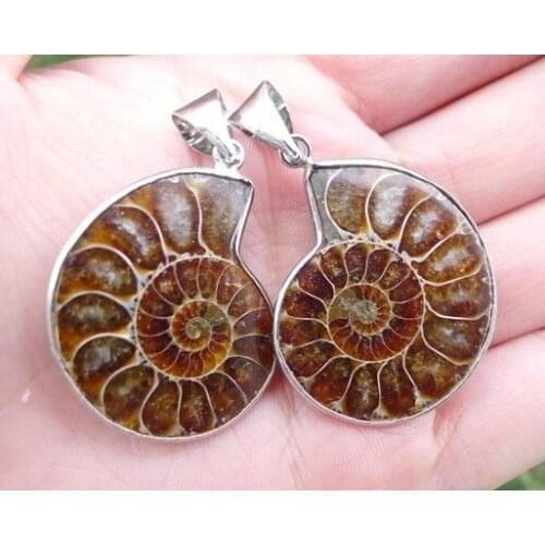 Free shipping 2pcs/ lot Split Ammonite Specimen Shell Healing Madagascar