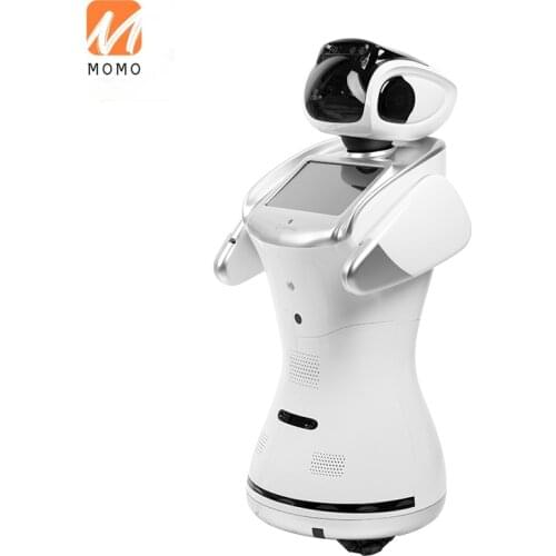 Talking Intelligent Robot Real-Life Housekeeping Family Accompany Walking, Dialogue and Dancing