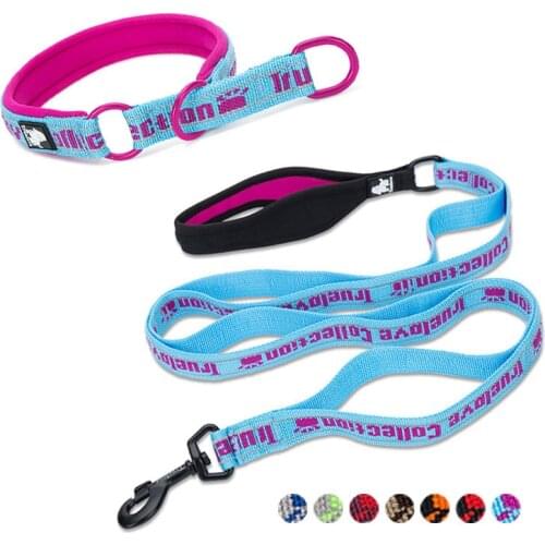 Truelove Matching Nylon Dog Collar And Leash Set Large Small Dogs Soft Padded Dog Training Lead Chokers Leader Collar Choke