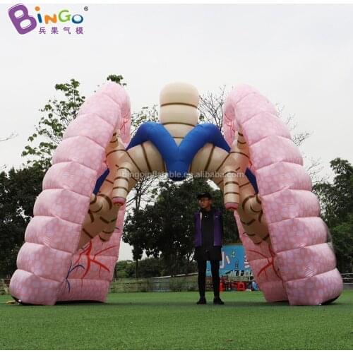 Personalized 4.6x3x4 meters inflatable lungs for education / inflatable lungs model balloons toys