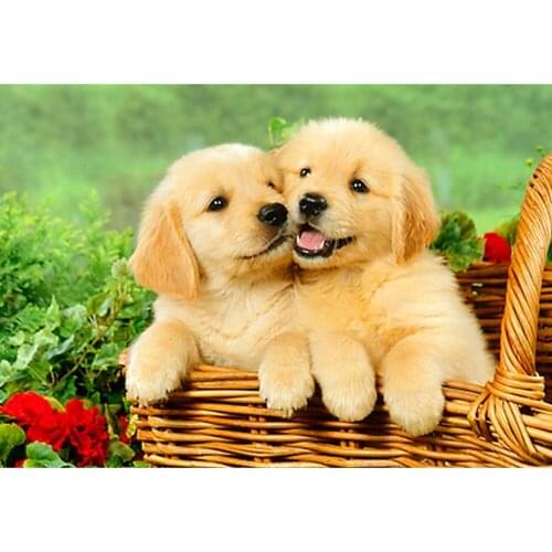 KEXINZU Diamond Painting Dog 5D DIY Diamond Embroidery Animal Full Kits Handmade Gift Needlework Rhinestone Picture YF5330