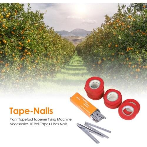 Tying Machine Accessories 10 Roll Tape+1 Box Nails for Tomato Cucumber Tying for Horticultural Fruit Trees Vegetables 12x10x8cm