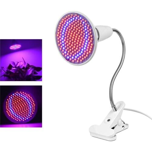 Guillermo LED Plant Lamps