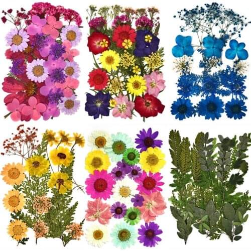 DIY Dried Flowers Resin Mold Fillings UV Expoxy Flower for Nail Art Pressed Flowers for Home Decor Handicraft