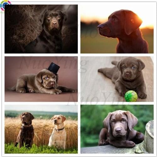 Diamond Painting 5d Chocolate Labrador Full Diamond Square Round Diamond Embroidery Cross Stitch Cute Animal Home Decoration Gif