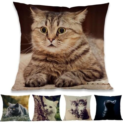 Cute Kitten Lovely playful Cat American Shorthair Throw Pillow Case Home Sofa Chair Car Kids Room Decorative Cushion Cover