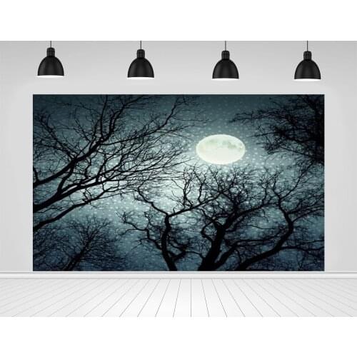 Scopiso Photography Backdrop The Full Moon In The Black Forest Background For Portrait Shooting Photo Studio Decoration Props