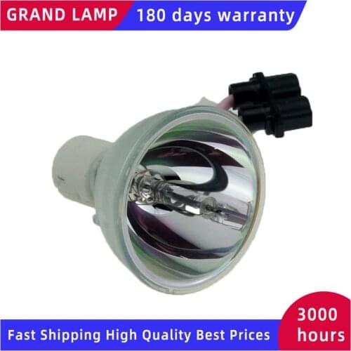 EC.J3901.001 Compatible Projector bulb for ACER XD1150 XD1150D XD1150P XD1250 for Optoma EP706 EX990S DS303 EP709S DS302 bulb