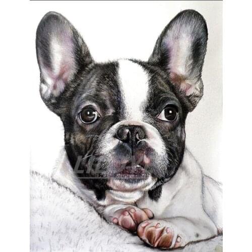 5D Full drill, diamond painting dog DIY diamond embroidery Bulldog Cross Stitch Rhinestones Mosaic Home Decoration Gift FG1955