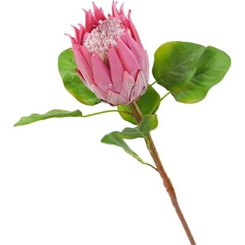 65CM Bodhi Flower Simulation Poseidon Flower South Africa National Flower Home Decoration Photography Protea Cynaroides