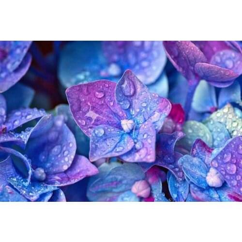 GLymg Full Drill 5d Diamond Painting Diy Diamond Craft Embroidery Diamond Embroidery Blue Demon Flower Diamond Art Wall