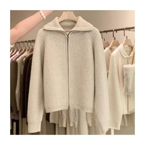 Zipper Sweater Coat Womens Autumn Winter 2021 New Korean Style Loose And Simple Short Lapel Knitted Cardigan