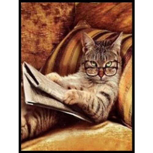 30x40 Diy Diamond Painting 5d for Home Decor , Living Room Decoration ，Cat With Glasses Reading