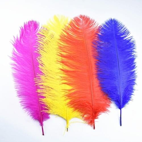 10Pcs/Lot Ostrich Feathers for Crafts 20-22" 50-55CM White ostrich feather decor Wedding Decorations Feathers Ostrich Plumes DIY