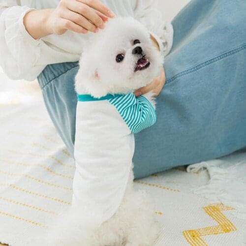 Dog Clothes Stripe Patchwork Design Round Neck Cotton Two-legged Pullover Costume for Daily Life