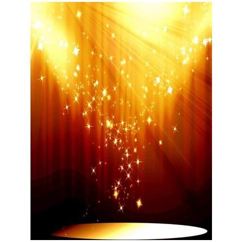 TR Shiny Gold Stars Photography Backdrop Thin fabric cloth Printed Background Newborns Portrait Photo Backdrop Camera Fotografia