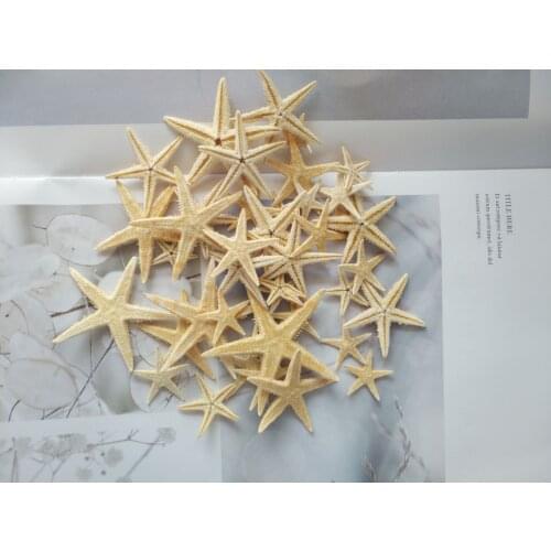 Hot new 1-5cm Natural Starfish Seashell Beach Craft Natural Sea Stars DIY Beach Wedding Decoration Crafts Home Decor Epoxy
