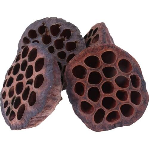 New Natural Dried flower Lotus DIY decoration for home party office decorative pressed flowers 1pcs