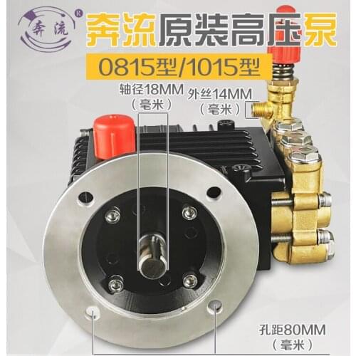 Suzhou Benliu 0815/1015 High Pressure Washer / Car Washer Original High Pressure Copper Pump Head Assembly Accessories