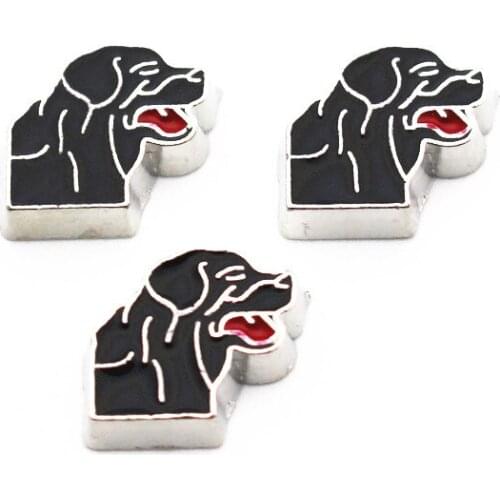 Newest 10pcs/lot Cute dog floating charms living glass memory lockets diy Accessory charms jewelry