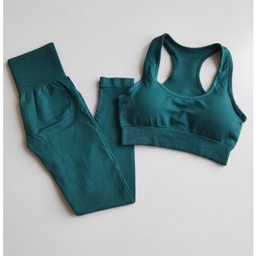 2 Piece Seamless Yoga Set Sportswear Sports Bra+Leggings Fitness Pants Gym Running Suit Exercise Clothing Athletic