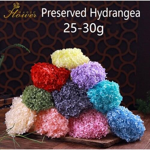 DreamFlor Artificial Peonies