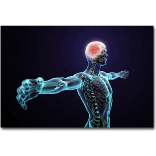 Human Anatomy System Brain Medical Science-Silk Art Poster Wall Sticker Decoration Gift