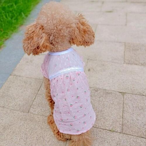 Sweet Strawberry Pet Cat Dresses T Shirt Summer Cat Costumes Cooling Sun-Proof Clothing For Dog Gotas Skirt ropa para gato Pugs