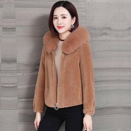 Autumn Winter Plus Size Women Mink Coat Korean Imitate Sheep Shearing Thick Fox Fur Collar Hooded Loose Ladies Jacket 3XL A500