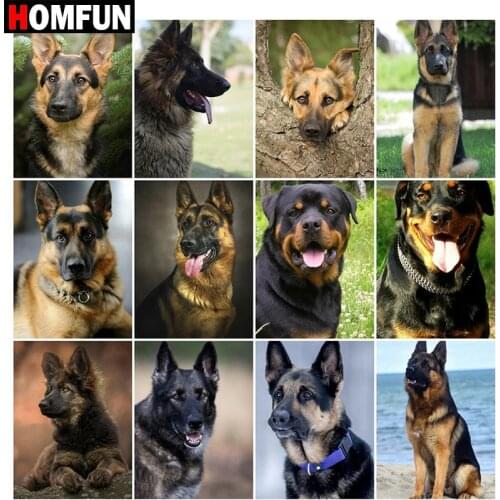 HOMFUN Full Square/Round Drill 5D DIY Diamond Painting "Animal dog landscape" Embroidery Cross Stitch 5D Home Decor Gift