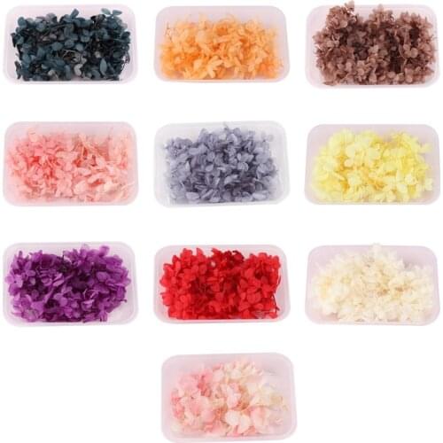 1 Box Dried Flowers UV Resin Decorative Natural Flower Stickers 3D Dry Beauty Decal Epoxy Mold DIY Filling Making Craft Jewelry
