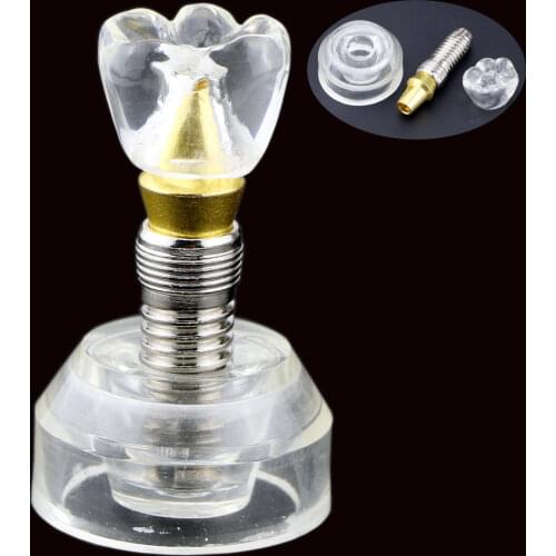 Dental Implant Model Single Clear Teeth stand implant crown 3 parts Tooth 2020