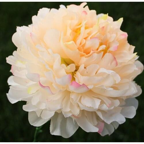 15pcs/lot Artificial Flower 18cm Peony Flower Head DIY Party Wedding Decoration Fake Flower Wall Accessories For Home Decor