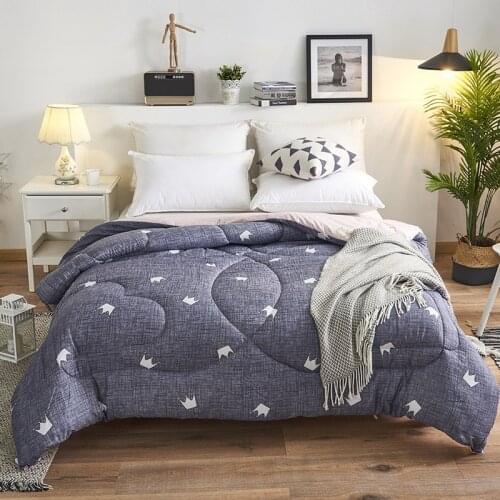 2021NewAutumn Winter Thicken Warm Lamb Wool Quilt Blanket Single Double King Queen Bed Cover Bedding Comforter Home Hotel Duvets