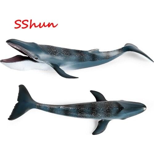 33*12*6CM children science and education simulation marine life animal hollow model static large blue whale shark great white sh