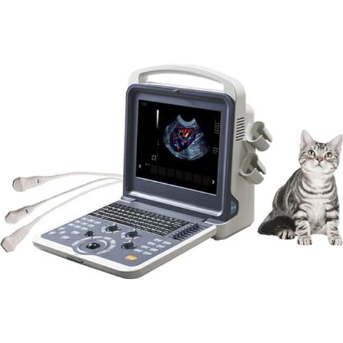 DSC Elements And Parts Of Devices