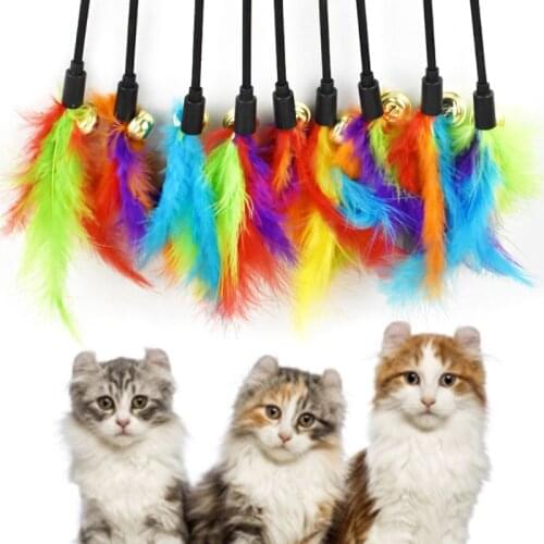 Feather with Bell Colorful Funny Cat Stick Catcher Beautiful Wand Pet Interactive Toy Funny Cat Stick Entertainment