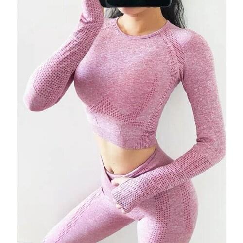 Seamless Yoga Set Women Fitness Sports Suits GYM Clothing Long Sleeve Shirts Crop Top High Waist Running Leggings Sport Set 2PCS