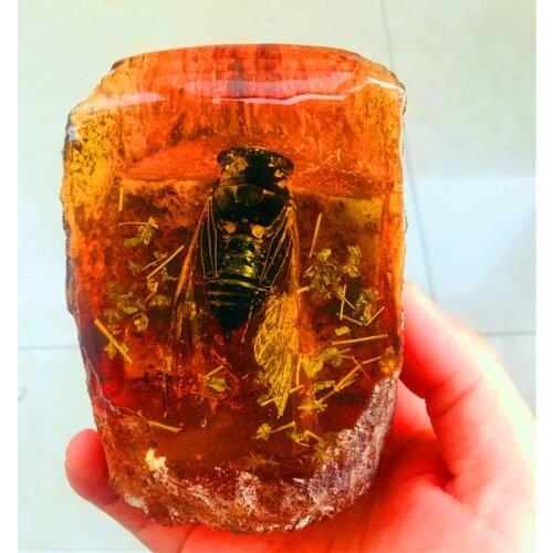 10cm Natural Amber Crystal Ball Aesthetic Beeswax Raw Butterflies Insect Scorpion Display Cicada Ball Home Decor Feng Shui Decor
