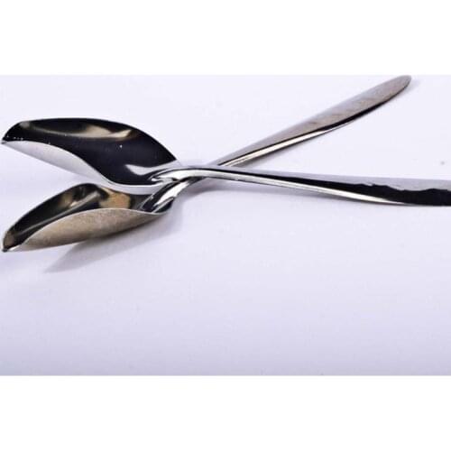 5 Pcs Baby Bird Pointed Feeding Spoon Stainless Steel Milk Medicine Parrot Feeder for All Baby Bird Peony Cockatiel 85LA