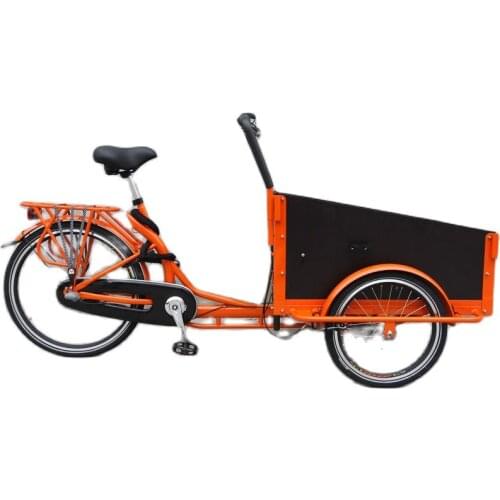 Stunning Electric 3 Wheeler Bike Nexus Internal 8 speeds Cargo Leisure France Spain Cargo European Lovely Gates CDN Belt Drive