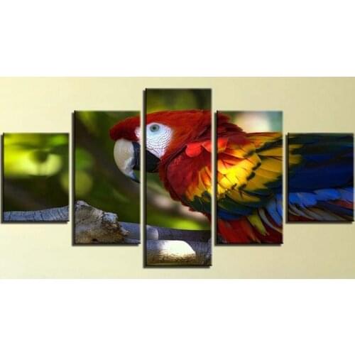 5D DIY Diamond embroidery Forest parrot full drill diamond painting Cross Stitch kits pictures of Rhinestones mosaic 5pcs set
