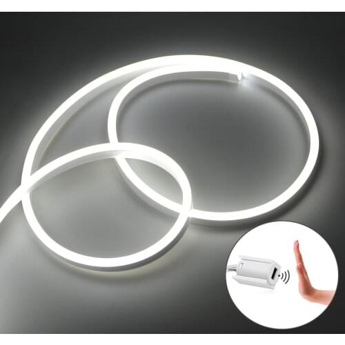 Full Set Neon LED Strip Light With 110V 220V To DC 12V Power Supply Adapter Hand Sweep Motion Sensor Lights For Home Decoration