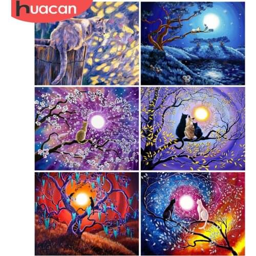 HUACAN Picture By Numbers Animal Hand Painted Unique Gift On Canvas Acrylic Oil Painting By Number Cat Wall Art