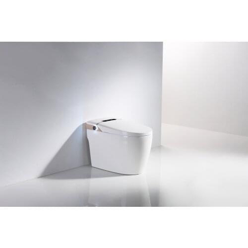 Luxury S-trap Intelligent Floor Mounted WC Remote Controlled Smart Bidet Toilet RSV9