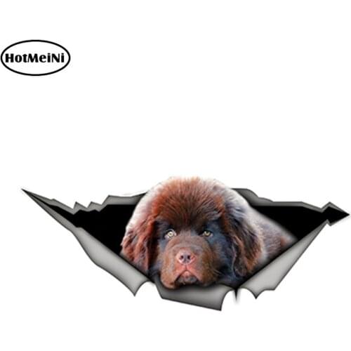 HotMeiNi 15cm x 6cm Funny Newfoundland 3D Car Sticker Dewfie Pet Dog Decal Waterproof Car Styling Stickers Decoration