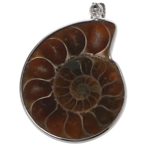 Natural Stone Ammonite Fossils Seashell Snail Pendants Loose Beads DIY
