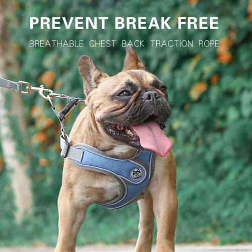 Reflective Dog Harness And Leash Set Breathable Mesh X-shaped Harnesses For Small Medium Dogs Soft Chest Strap Lead Pet Supplies